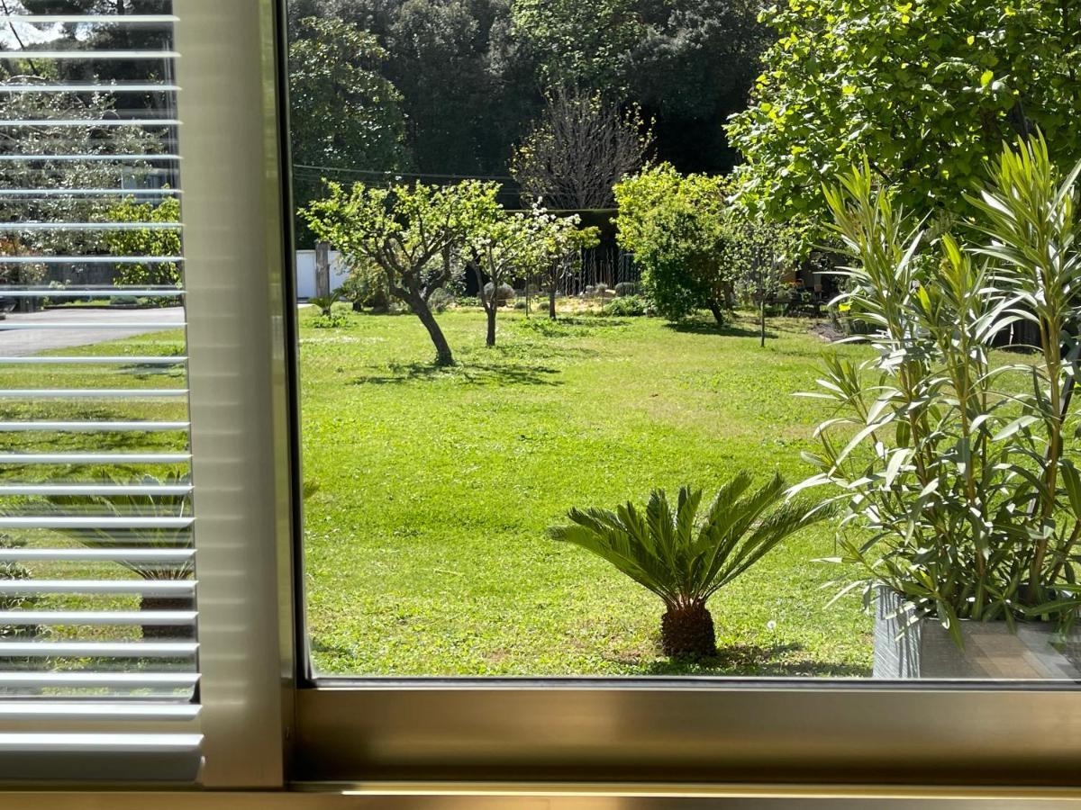 Studio Tout Confort Au Calme Avec Jardin Proche Cannes Le Cannet Exterior foto